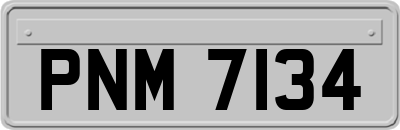 PNM7134