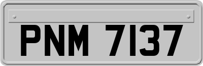 PNM7137