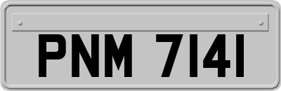 PNM7141