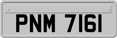 PNM7161