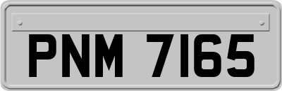 PNM7165
