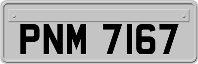 PNM7167