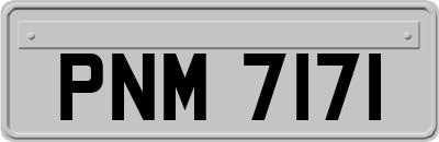 PNM7171