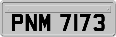 PNM7173
