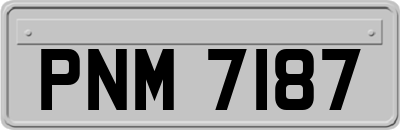 PNM7187