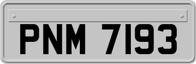PNM7193