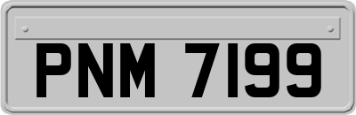 PNM7199
