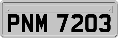 PNM7203