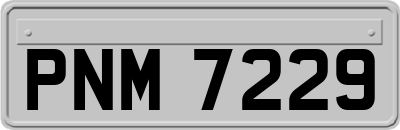 PNM7229