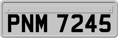 PNM7245