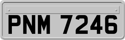 PNM7246