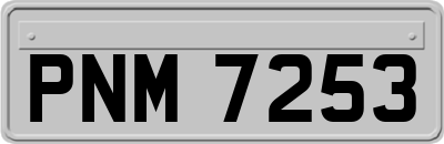 PNM7253