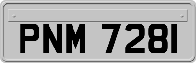 PNM7281