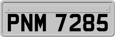 PNM7285
