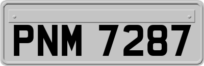 PNM7287