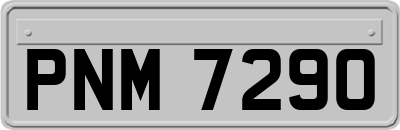 PNM7290