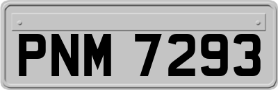 PNM7293