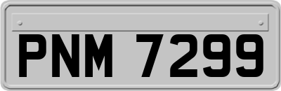 PNM7299