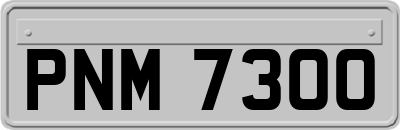 PNM7300