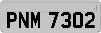 PNM7302