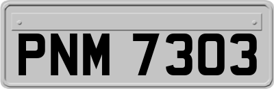PNM7303