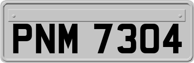 PNM7304