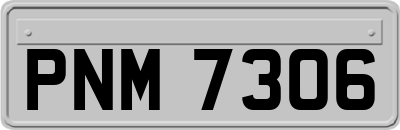 PNM7306