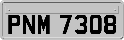 PNM7308