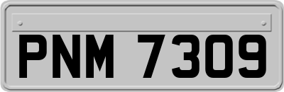 PNM7309