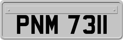 PNM7311