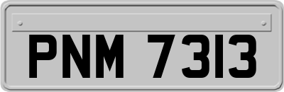 PNM7313