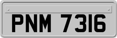 PNM7316