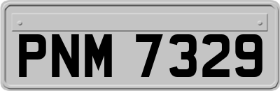 PNM7329
