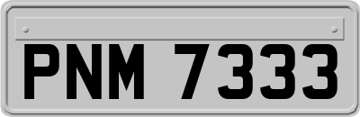PNM7333