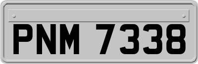 PNM7338