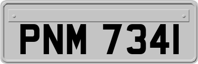PNM7341