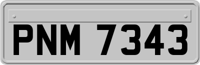PNM7343