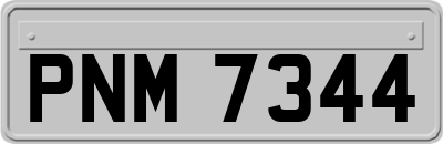 PNM7344