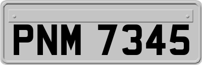 PNM7345