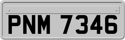 PNM7346