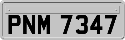 PNM7347