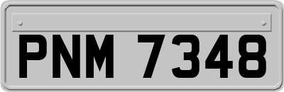 PNM7348