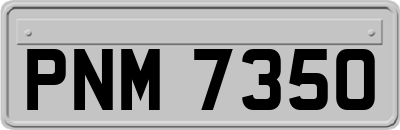 PNM7350
