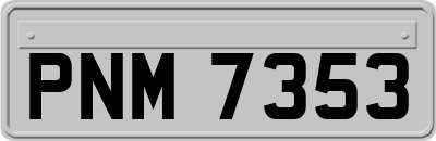 PNM7353