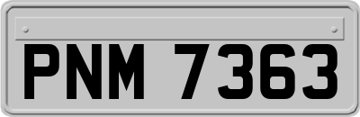 PNM7363