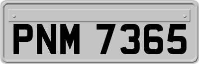 PNM7365