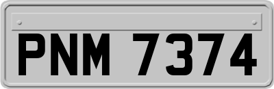 PNM7374