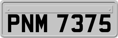 PNM7375