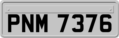 PNM7376