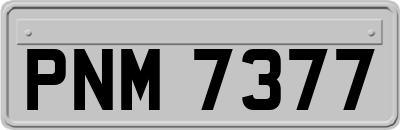 PNM7377